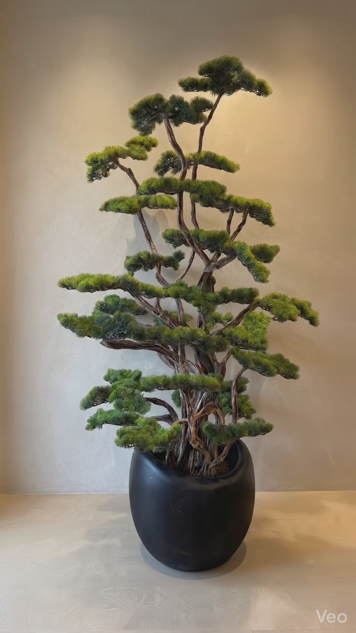 Yapay Lüx Bonsai Ağacı 200 cm 80 Dal Siyah Fiber Saksı