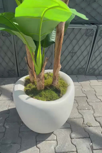 Yapay Muz Ağacı Dinazor Saksı 220 cm