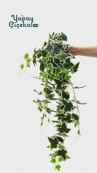 Yapay Hedera Sarmaşık 100 Cm 9 Dal Yeşil Beyaz