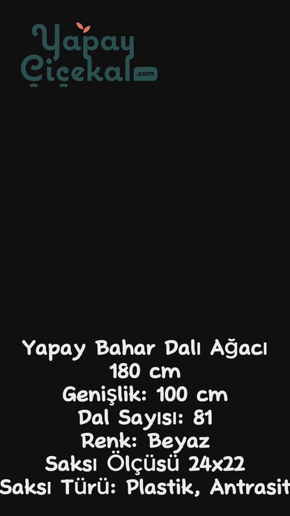 Yapay Bahar Dalı Ağacı Beyaz 180 Cm 81 Dal