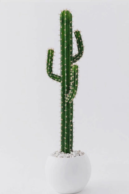 Yapay Kaktüs Ağacı 170 cm 4 Dal