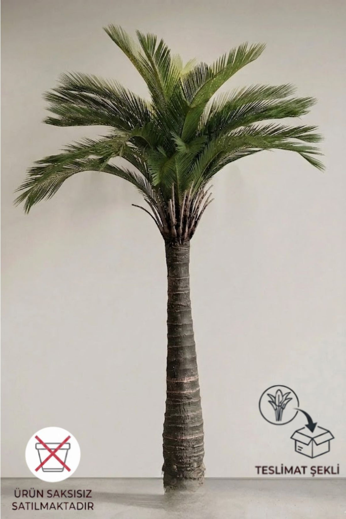Premium Yapay Çikas Palma Ağacı 190 cm 32 dal Saksısız (Uv)