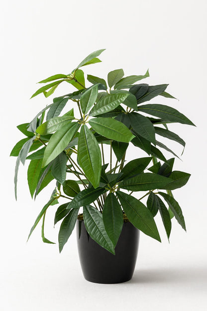 Salon Köşe Çiçeği Yapay Para Ağacı 80 Cm