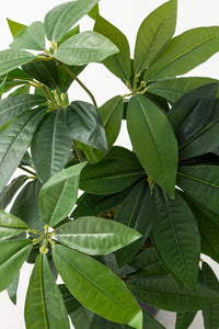 Salon Köşe Çiçeği Yapay Para Ağacı 80 Cm