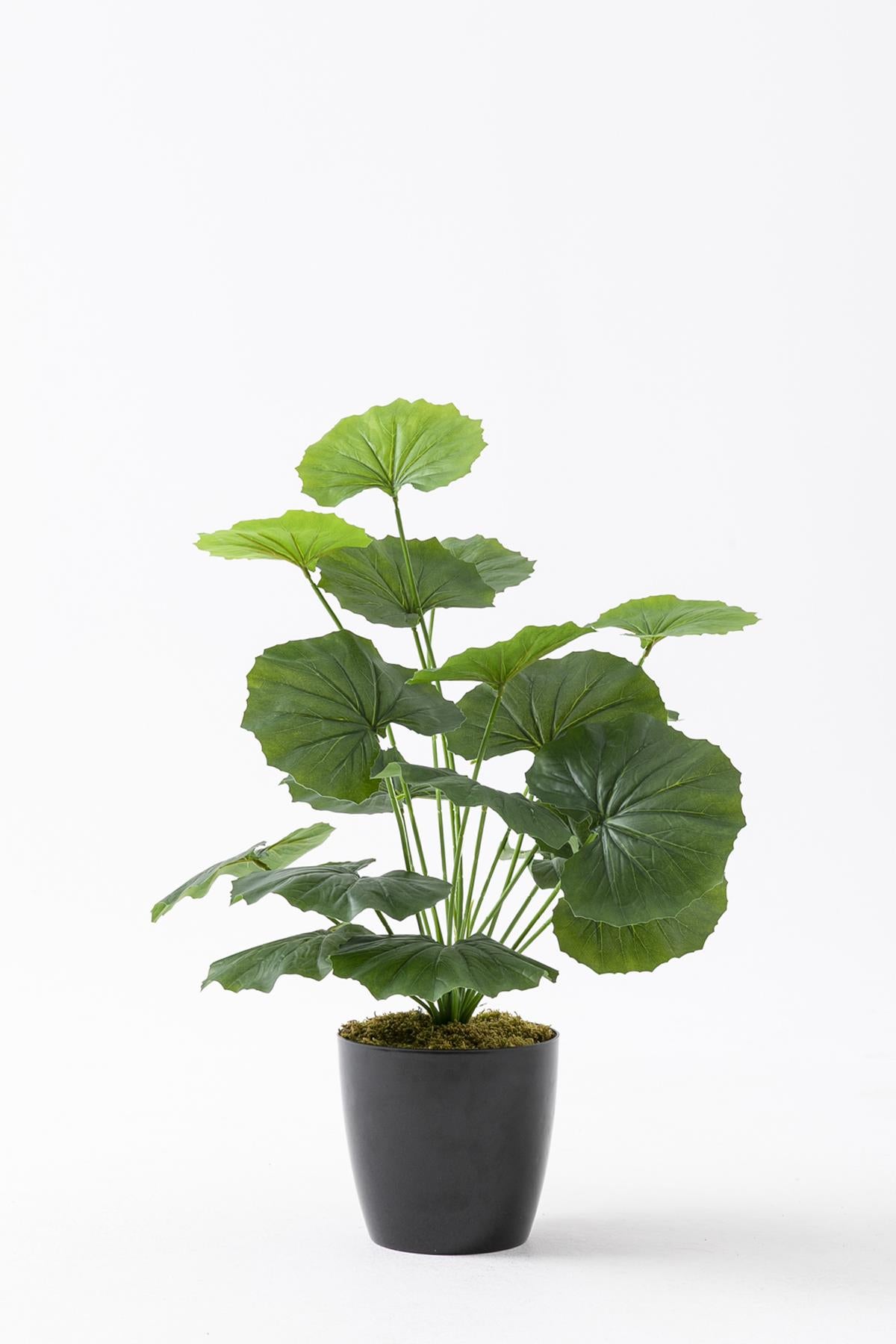 Salon Köşe Yapay Çiçekleri Bodur Bitki