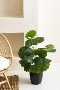 Salon Köşe Yapay Çiçekleri Bodur Bitki