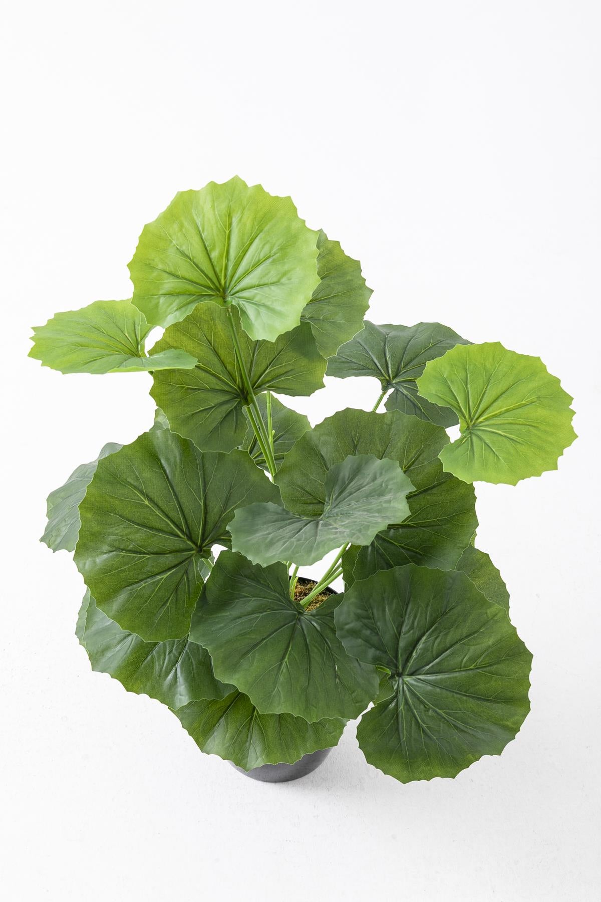 Salon Köşe Yapay Çiçekleri Bodur Bitki