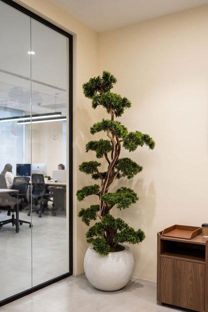 Premium Şeflore Dalı Yapay Bonsai Ağacı 200 Cm 40 Dal