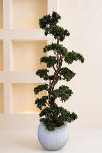 Premium Şeflore Dalı Yapay Bonsai Ağacı 200 Cm 40 Dal