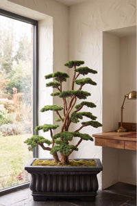 Yapay Lüx Bonsai Ağacı Siyah Fiber Saksı 200 cm 58 Dal