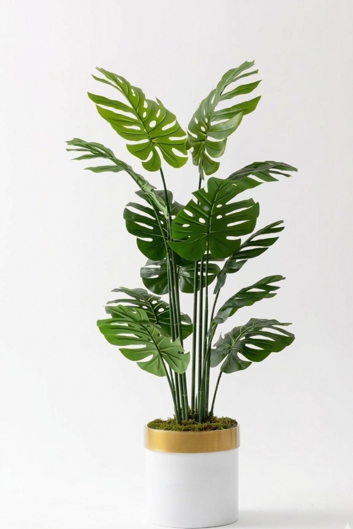 Yapay Deve Tabanı(Monstera) Ağacı