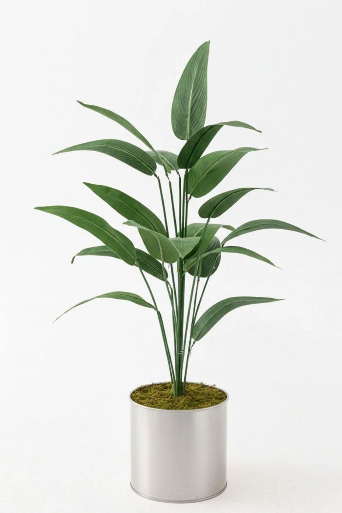 Yapay Starliçe Ağacı 130 Cm 20 Yaprak