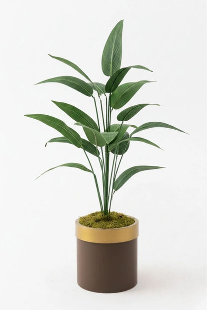 Yapay Starliçe Ağacı 130 Cm 20 Yaprak