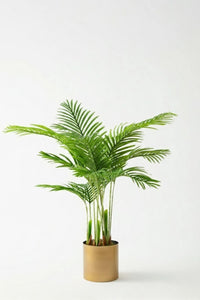 Yapay 3 Gövdeli Areka Palmiyesi