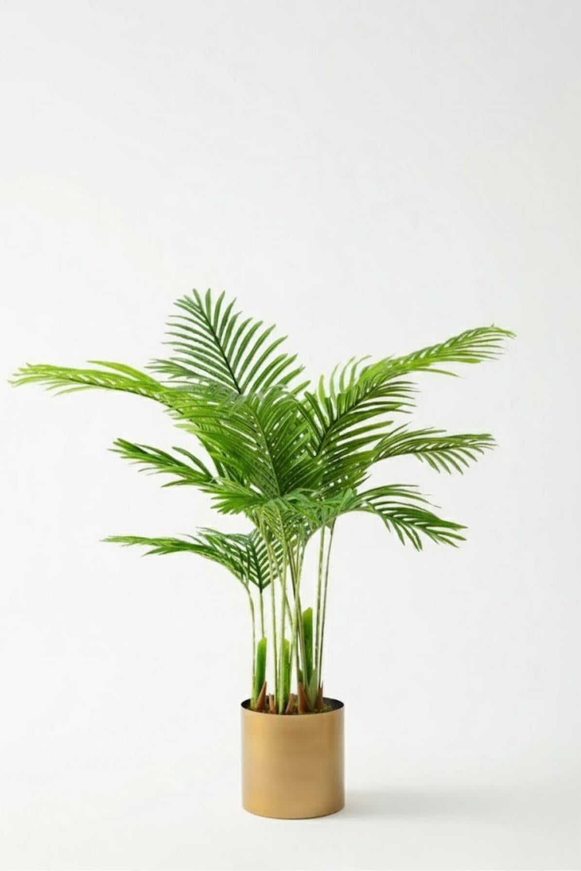 Yapay 3 Gövdeli Areka Palmiyesi