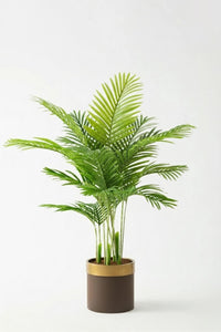 Yapay 3 Gövdeli Areka Palmiyesi