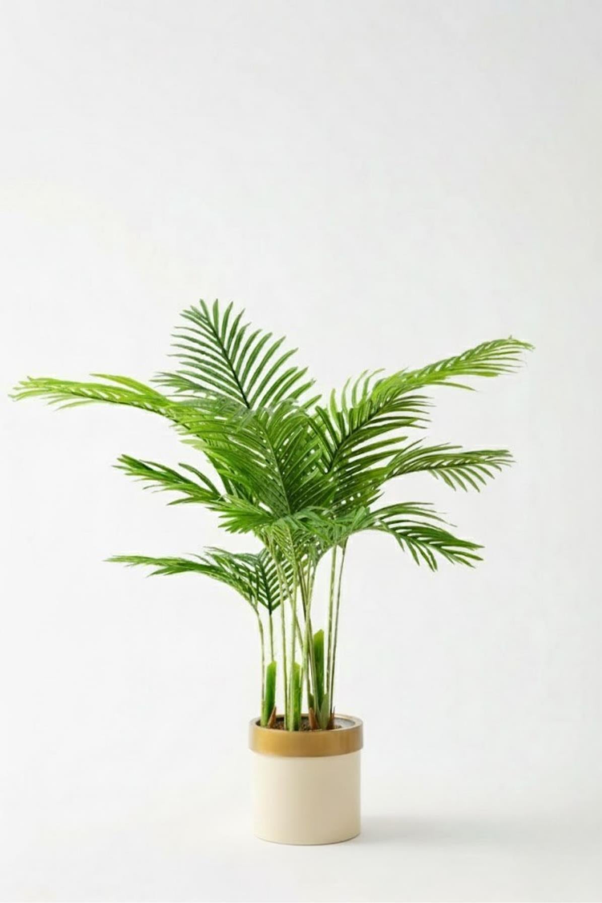 Yapay 3 Gövdeli Areka Palmiyesi