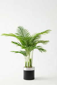 Yapay 3 Gövdeli Areka Palmiyesi