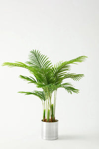 Yapay 3 Gövdeli Areka Palmiyesi