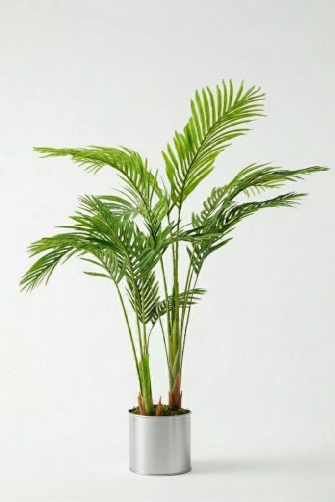 Yapay 3 Gövdeli Areka Palmiyesi