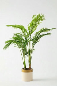 Yapay 3 Gövdeli Areka Palmiyesi