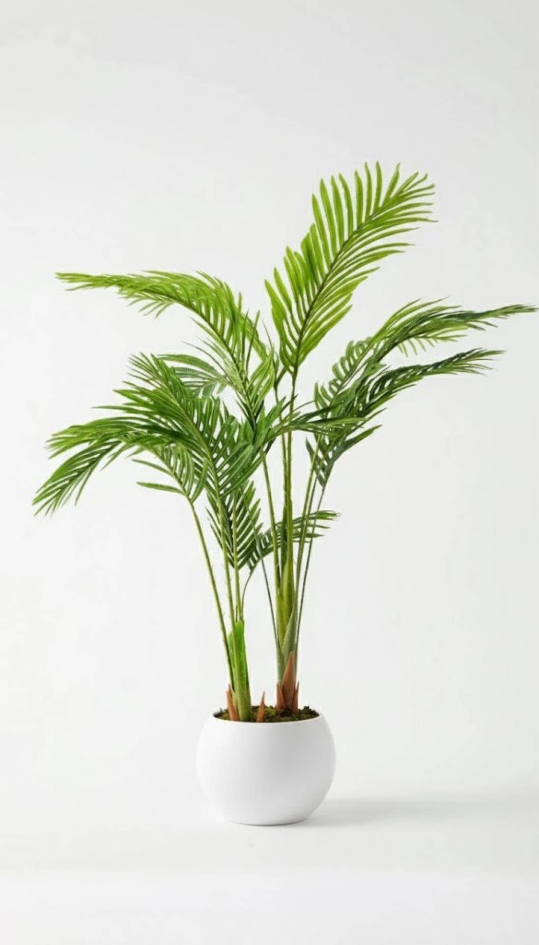 Yapay 3 Gövdeli Areka Palmiyesi