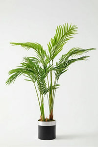 Yapay 3 Gövdeli Areka Palmiyesi