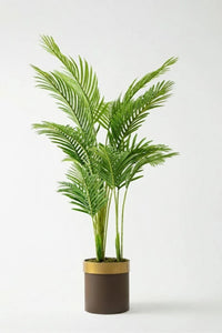 Yapay 3 Gövdeli Areka Palmiyesi