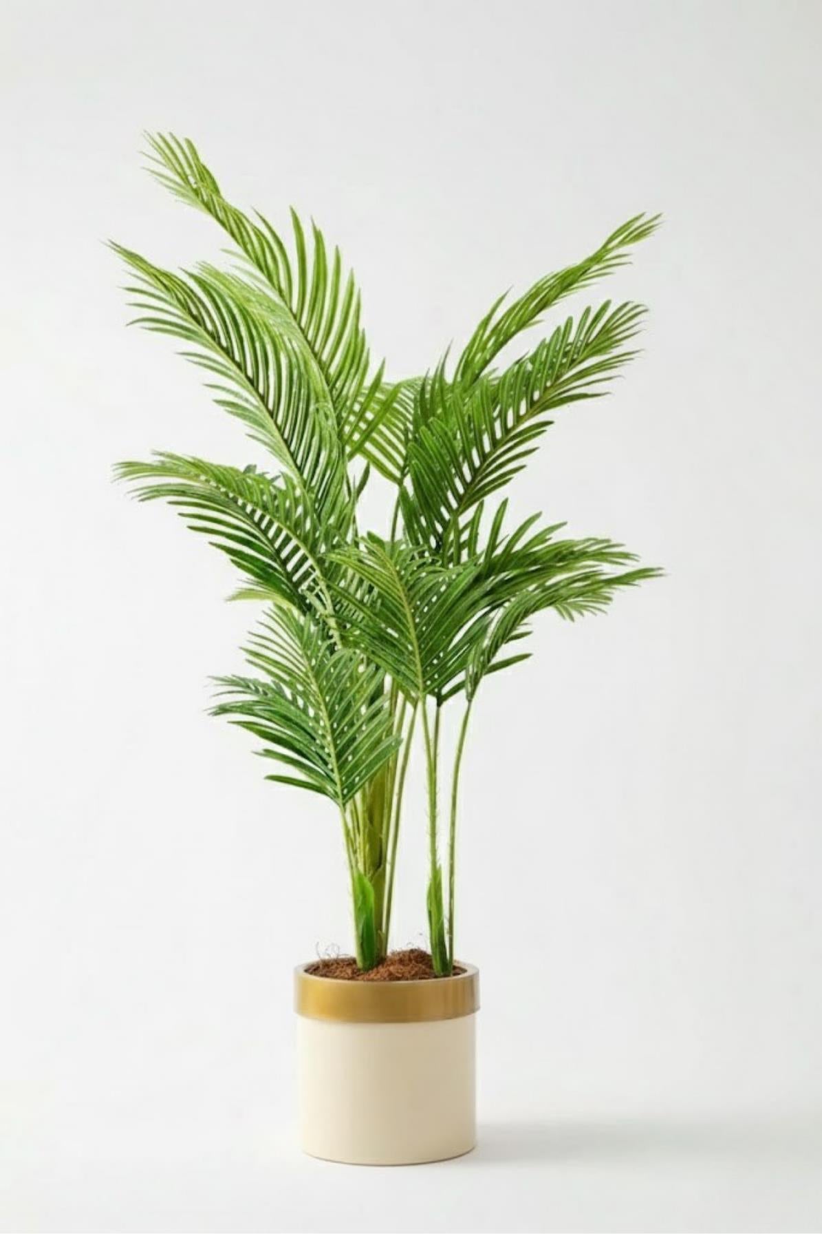 Yapay 3 Gövdeli Areka Palmiyesi