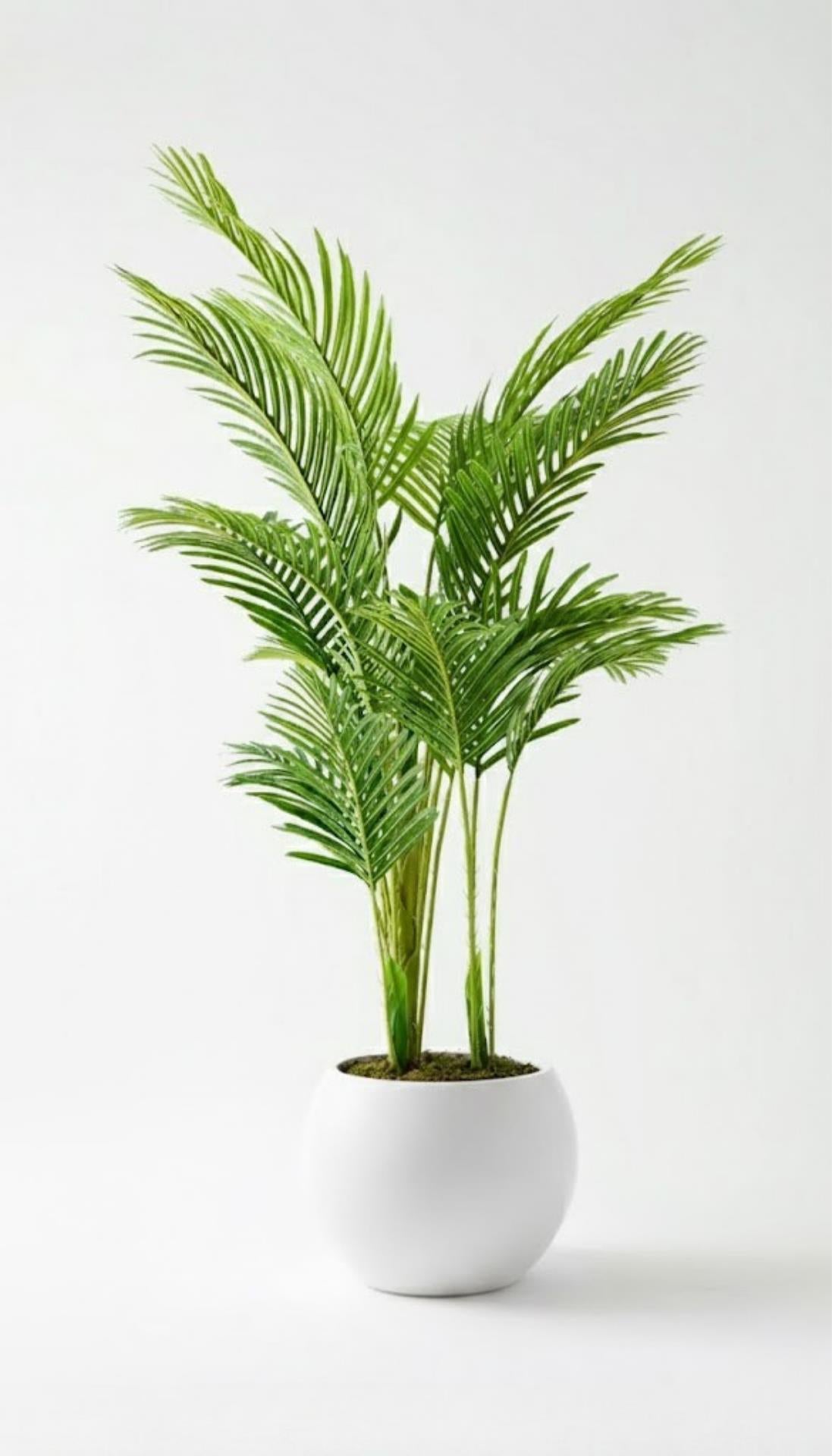 Yapay 3 Gövdeli Areka Palmiyesi