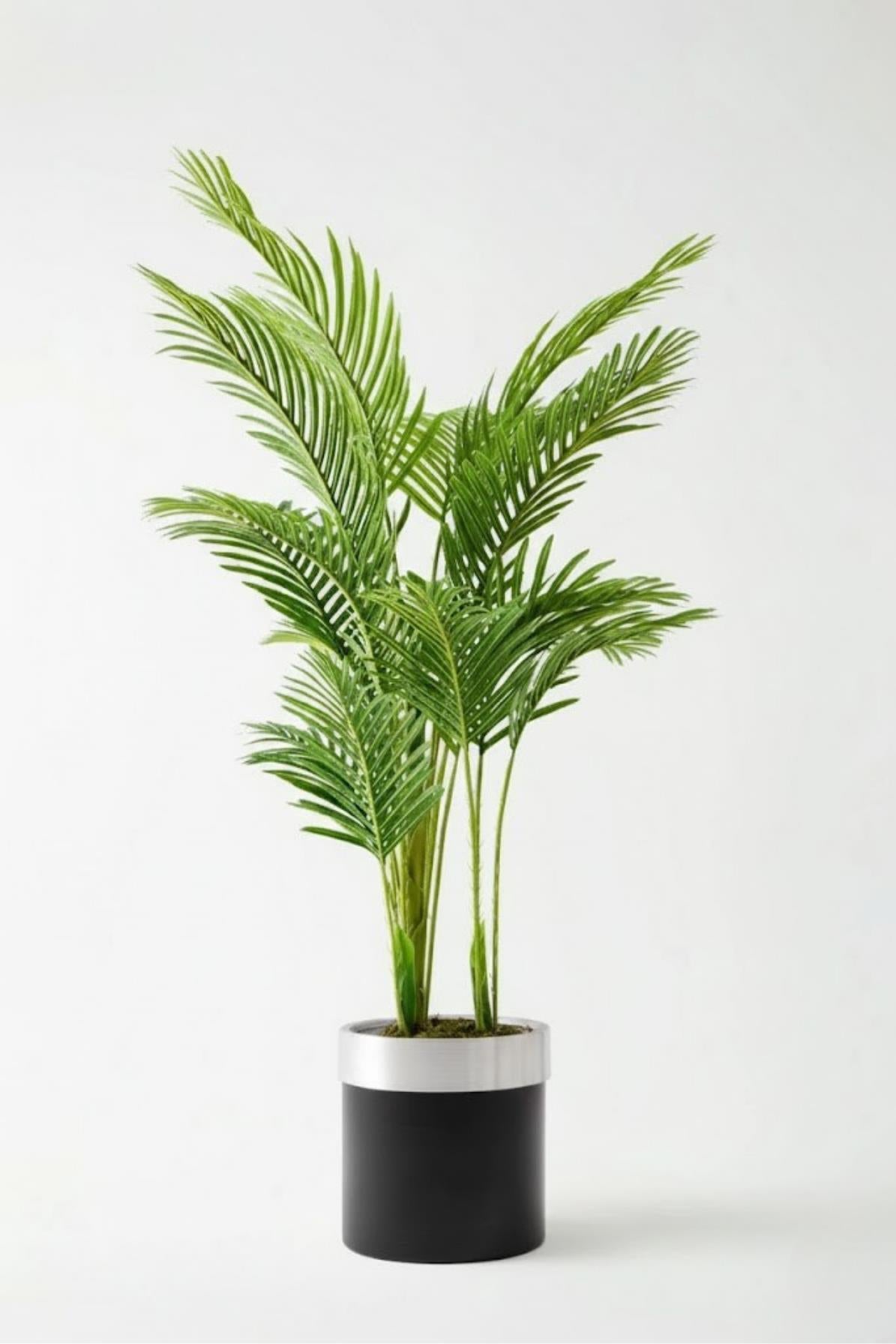 Yapay 3 Gövdeli Areka Palmiyesi