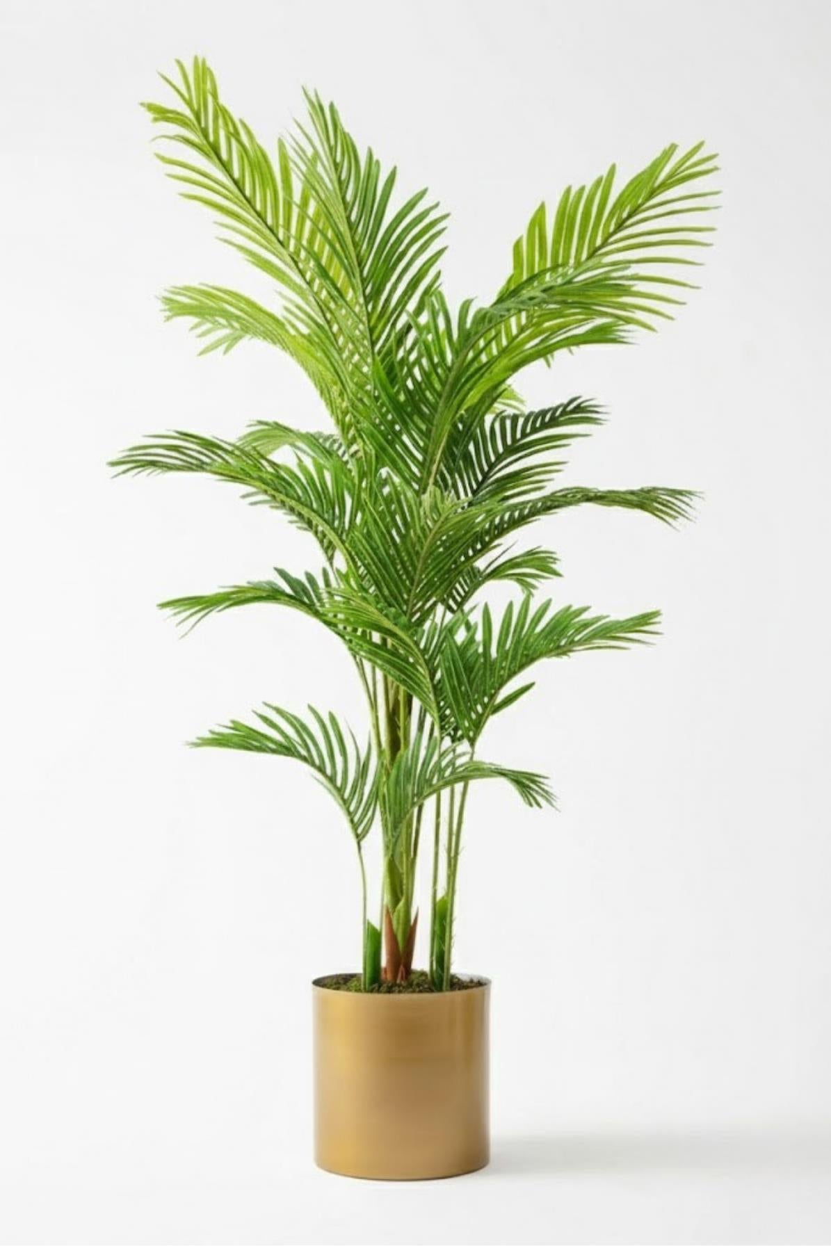 Yapay 3 Gövdeli Areka Palmiyesi