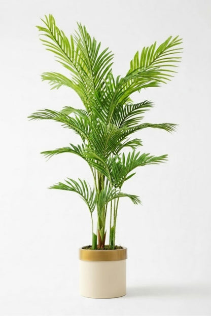 Yapay 3 Gövdeli Areka Palmiyesi