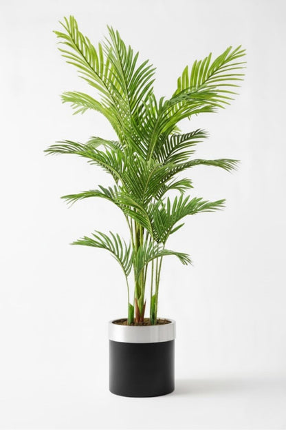 Yapay 3 Gövdeli Areka Palmiyesi