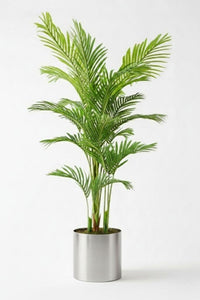 Yapay 3 Gövdeli Areka Palmiyesi