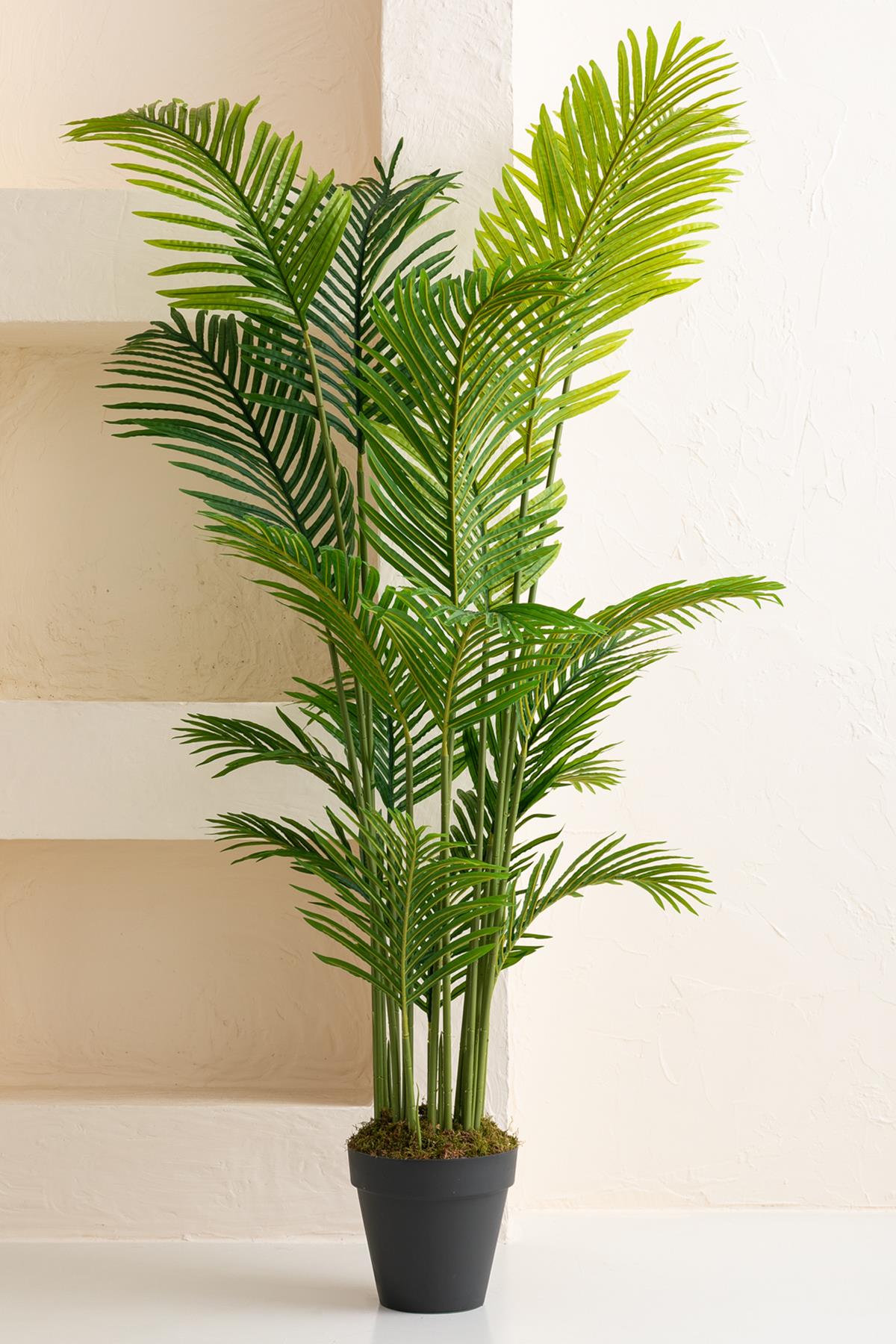 Yapay Ağaç 200 Cm Areka 18 Dal