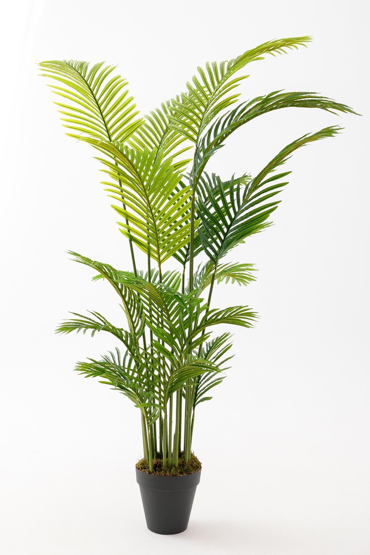 Yapay Ağaç 200 Cm Areka 18 Dal