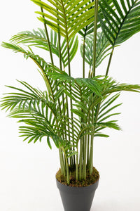 Yapay Ağaç 200 Cm Areka 18 Dal