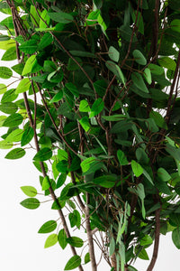 Yapay Ağaç 200 cm Benjamin 144 dal (Yoğun)