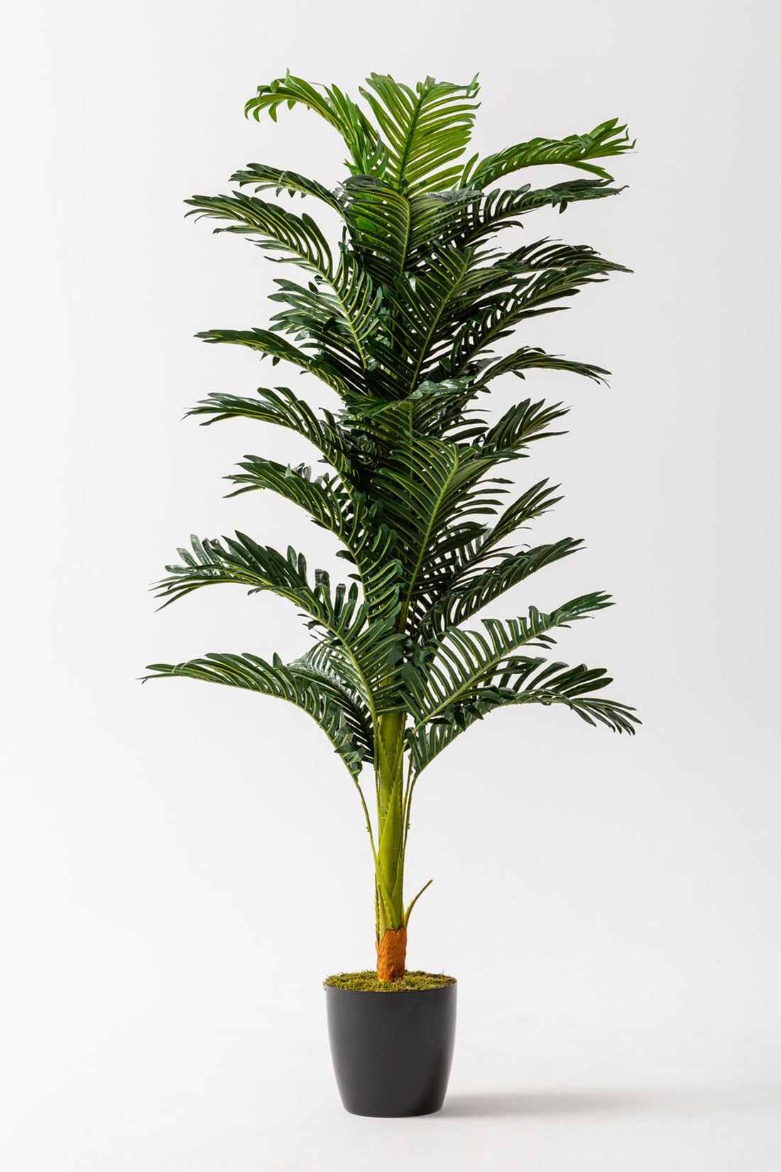 Yapay Ağaç Areka 150 Cm 32 Yaprak