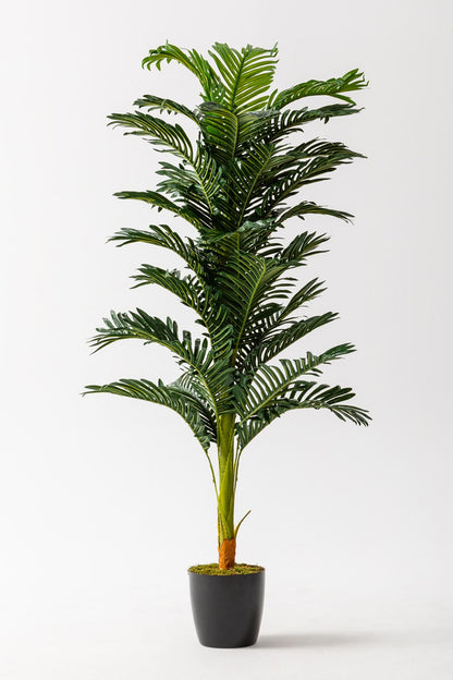Yapay Ağaç Areka 150 Cm 32 Yaprak