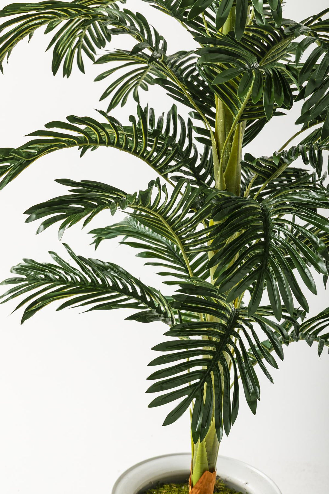 Yapay Ağaç Areka 180 Cm 32 Yaprak Beyaz Balon Saksı