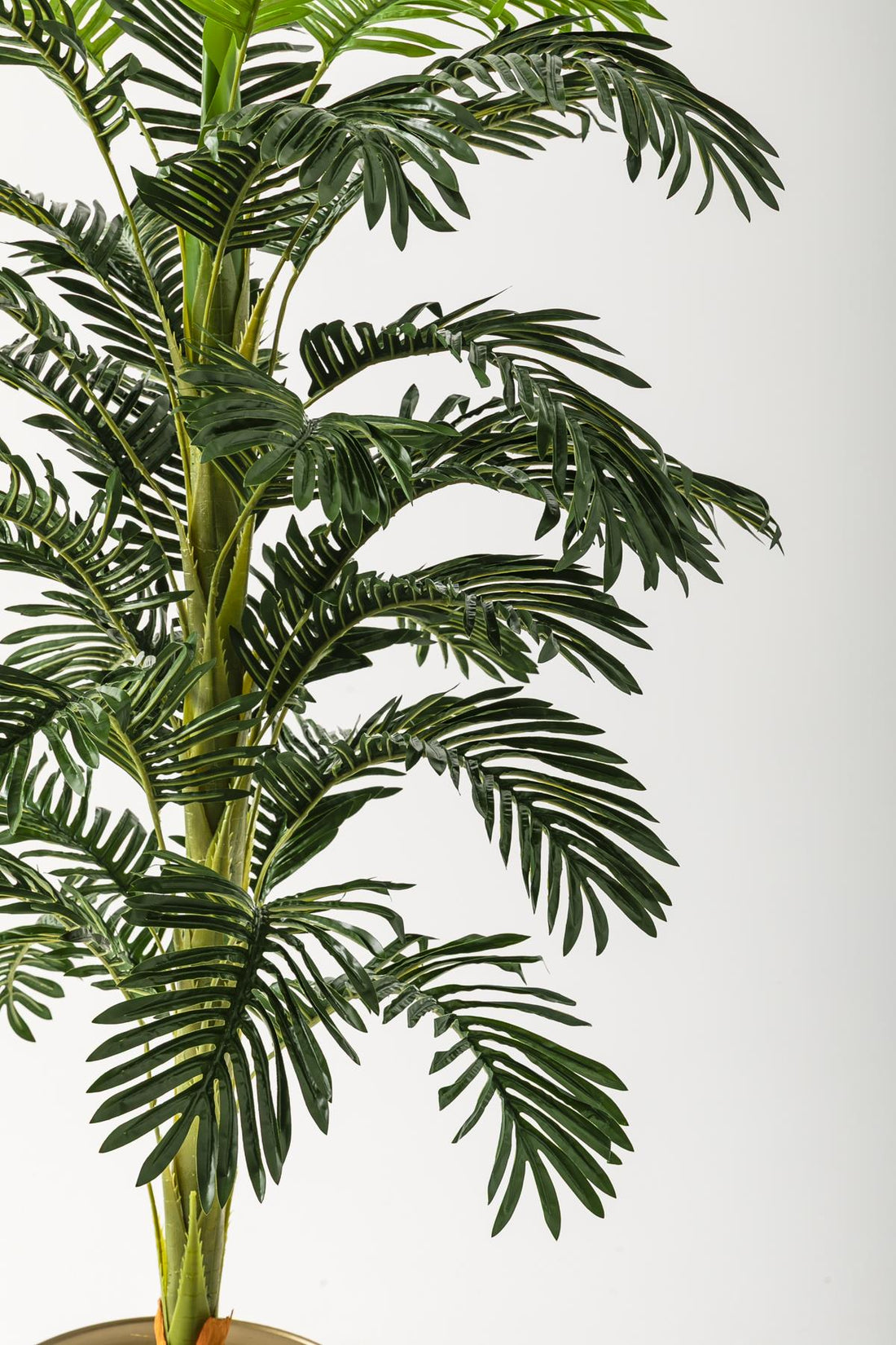 Yapay Ağaç Areka 180 Cm 32 Yaprak Gold Balon Saksı