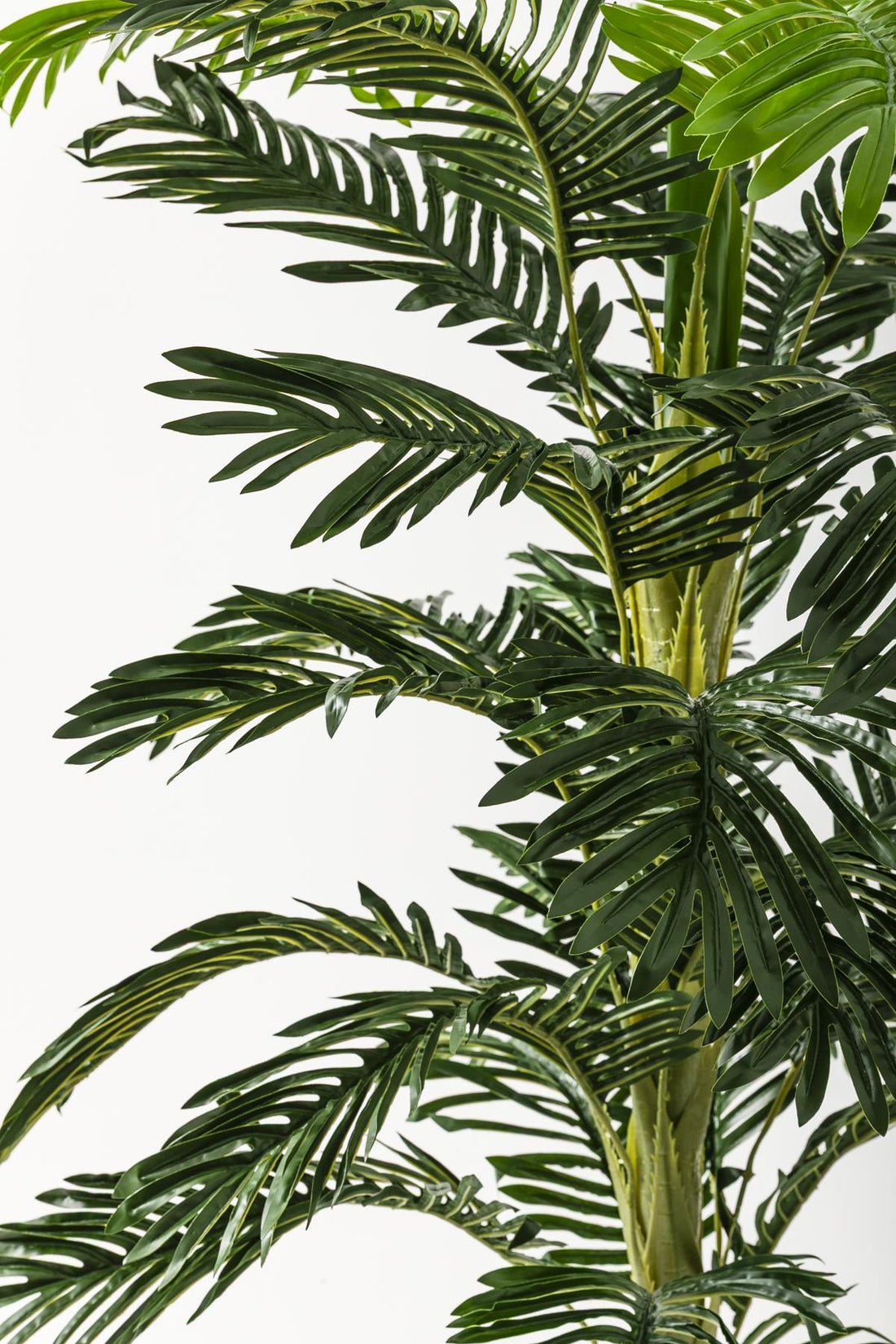 Yapay Ağaç Areka 180 Cm 32 Yaprak Krem Balon Saksı