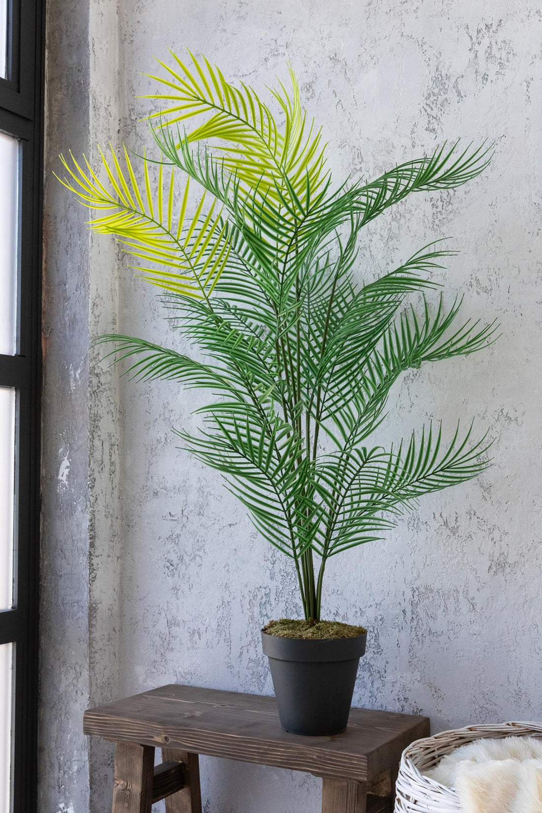 Yapay Ağaç Areka Ağacı Palmiye Ağacı Salon Bitkisi Yapay Areka 130 Cm 20 Yaprak