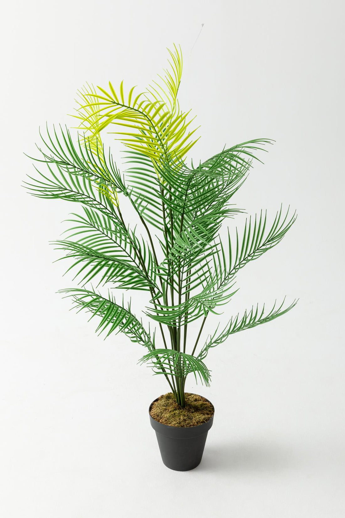 Yapay Ağaç Areka Ağacı Palmiye Ağacı Salon Bitkisi Yapay Areka 130 Cm 20 Yaprak