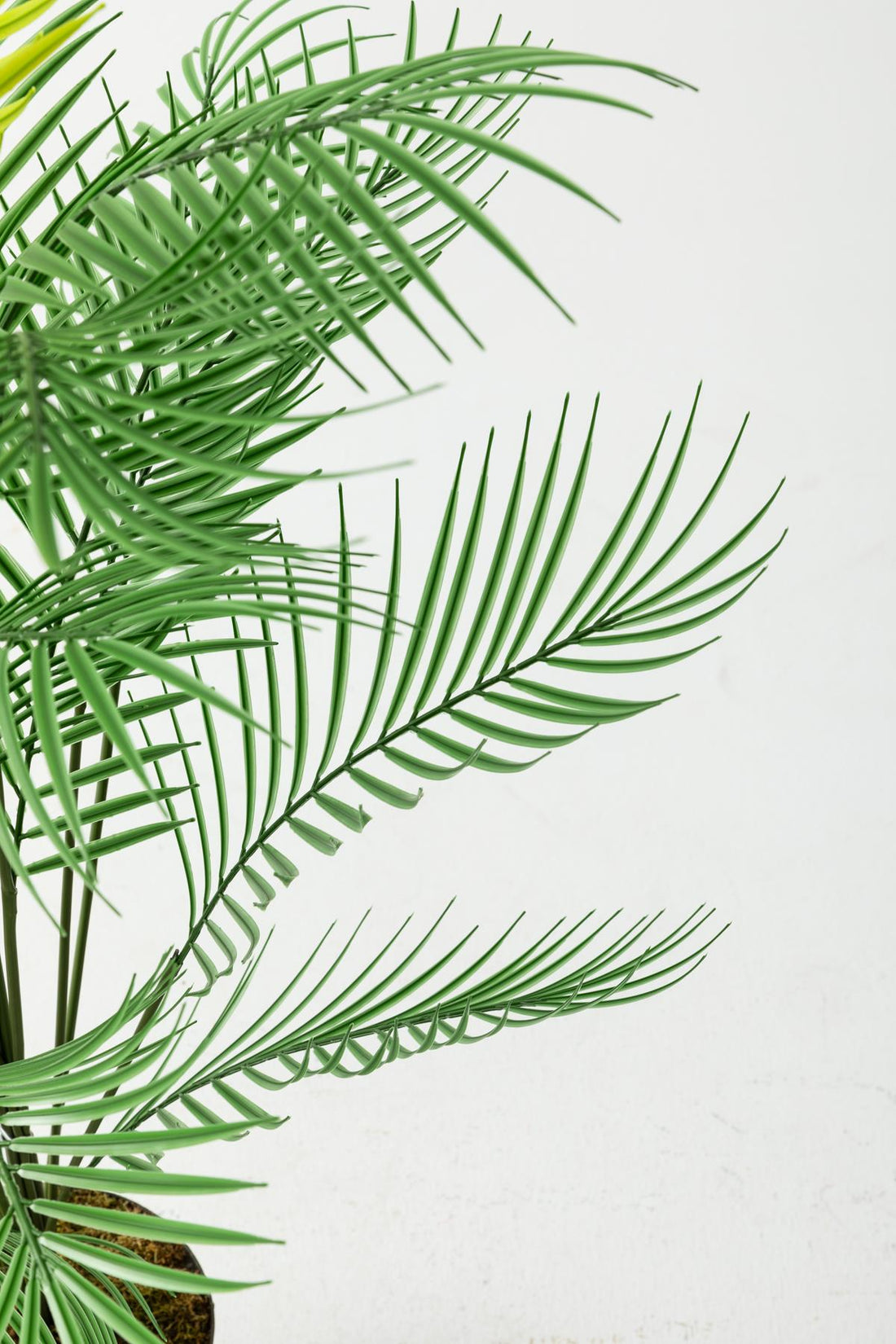 Yapay Ağaç Areka Ağacı Palmiye Ağacı Salon Bitkisi Yapay Areka 130 Cm 20 Yaprak