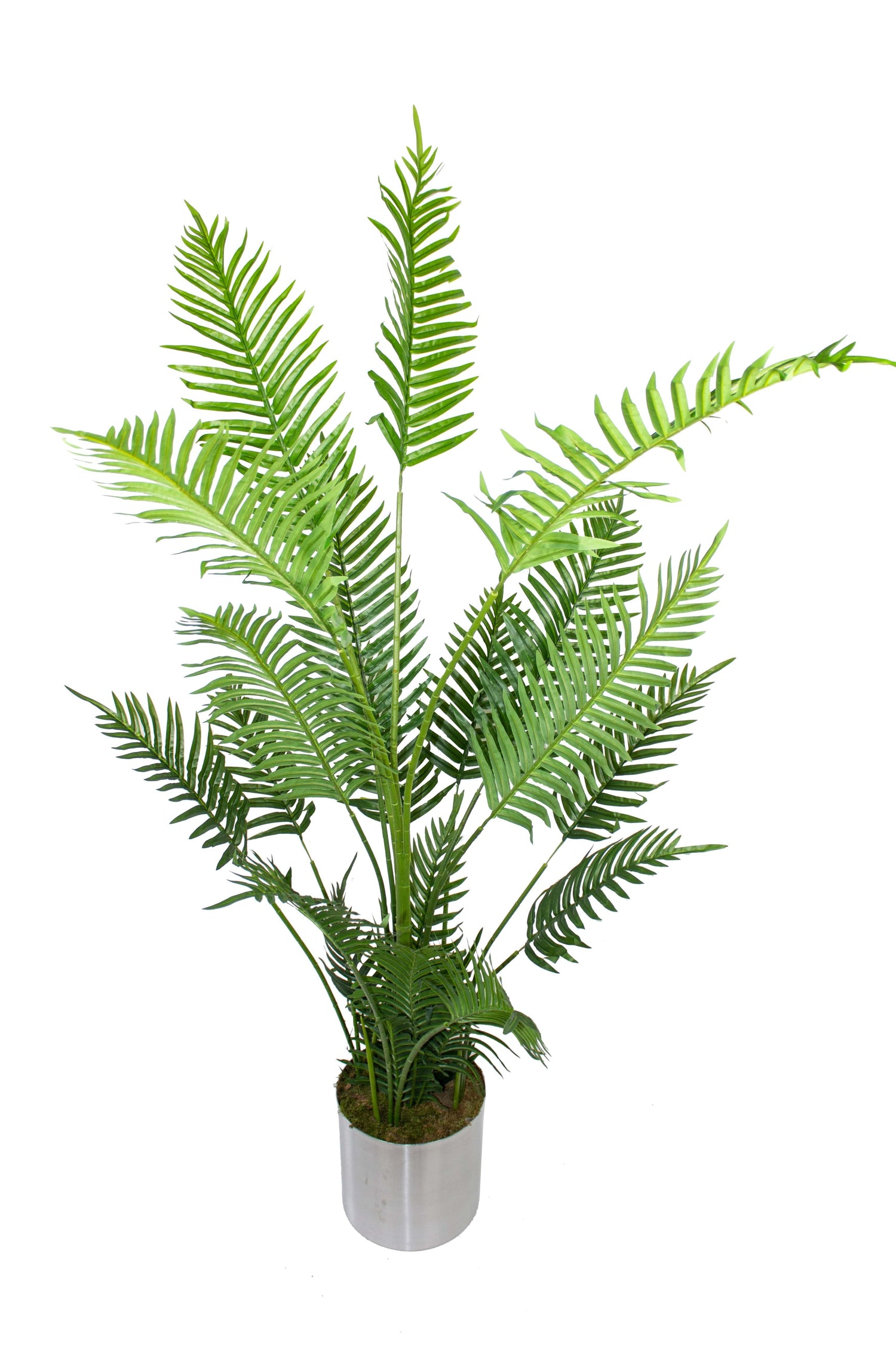 Yapay Ağaç Areka Palmiyesi 150 Cm 22 Yaprak