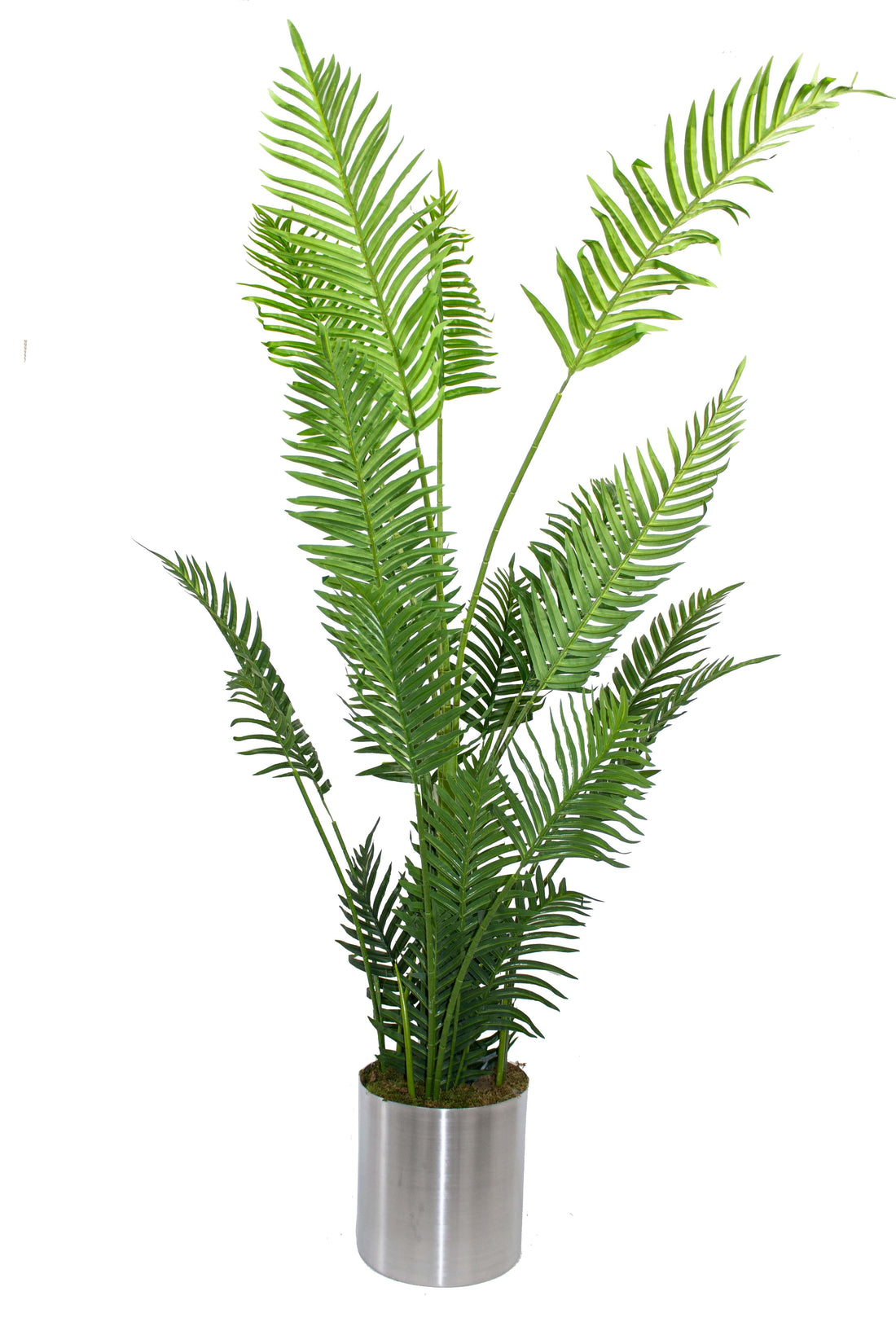 Yapay Ağaç Areka Palmiyesi 150 Cm 22 Yaprak