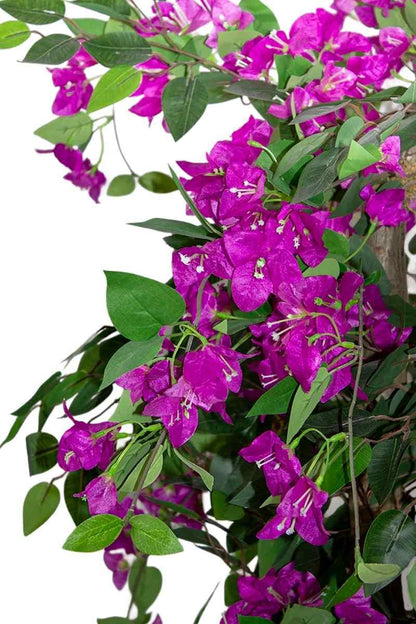 Yapay Ağaç Begonvil Mor 160 Cm 56 Dal